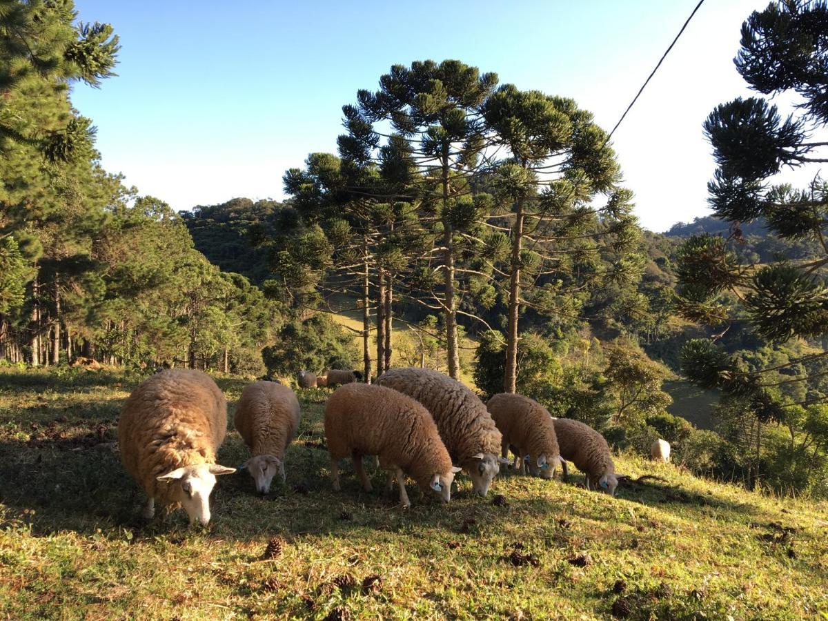 Paraíso na Montanha Campos do Jordão Exterior foto
