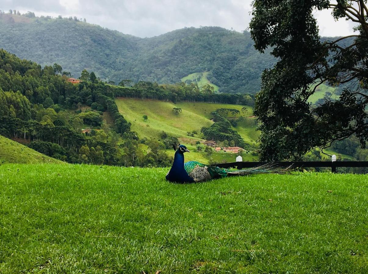 Paraíso na Montanha Campos do Jordão Exterior foto
