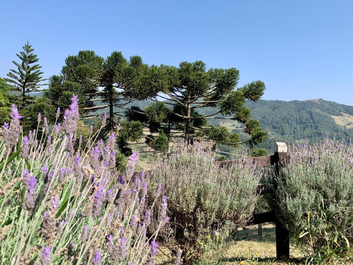 Paraíso na Montanha Campos do Jordão Exterior foto