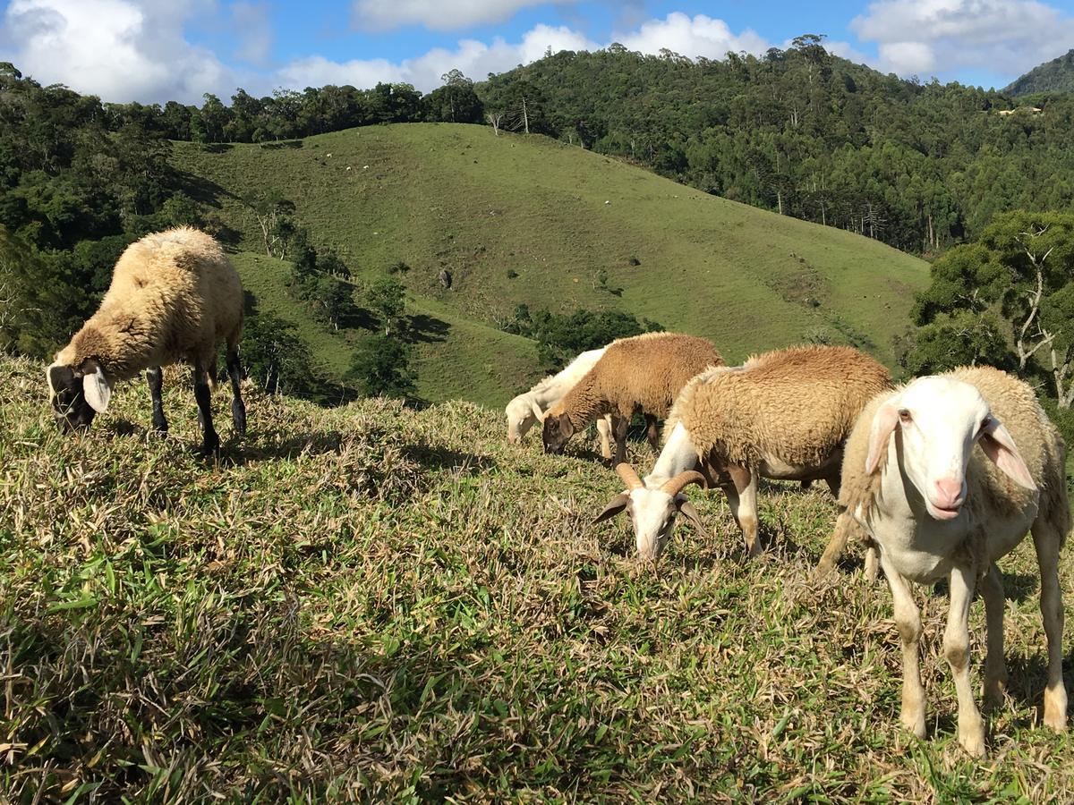 Paraíso na Montanha Campos do Jordão Exterior foto